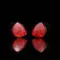 Noble Audio FoKus Amadeus Black Red