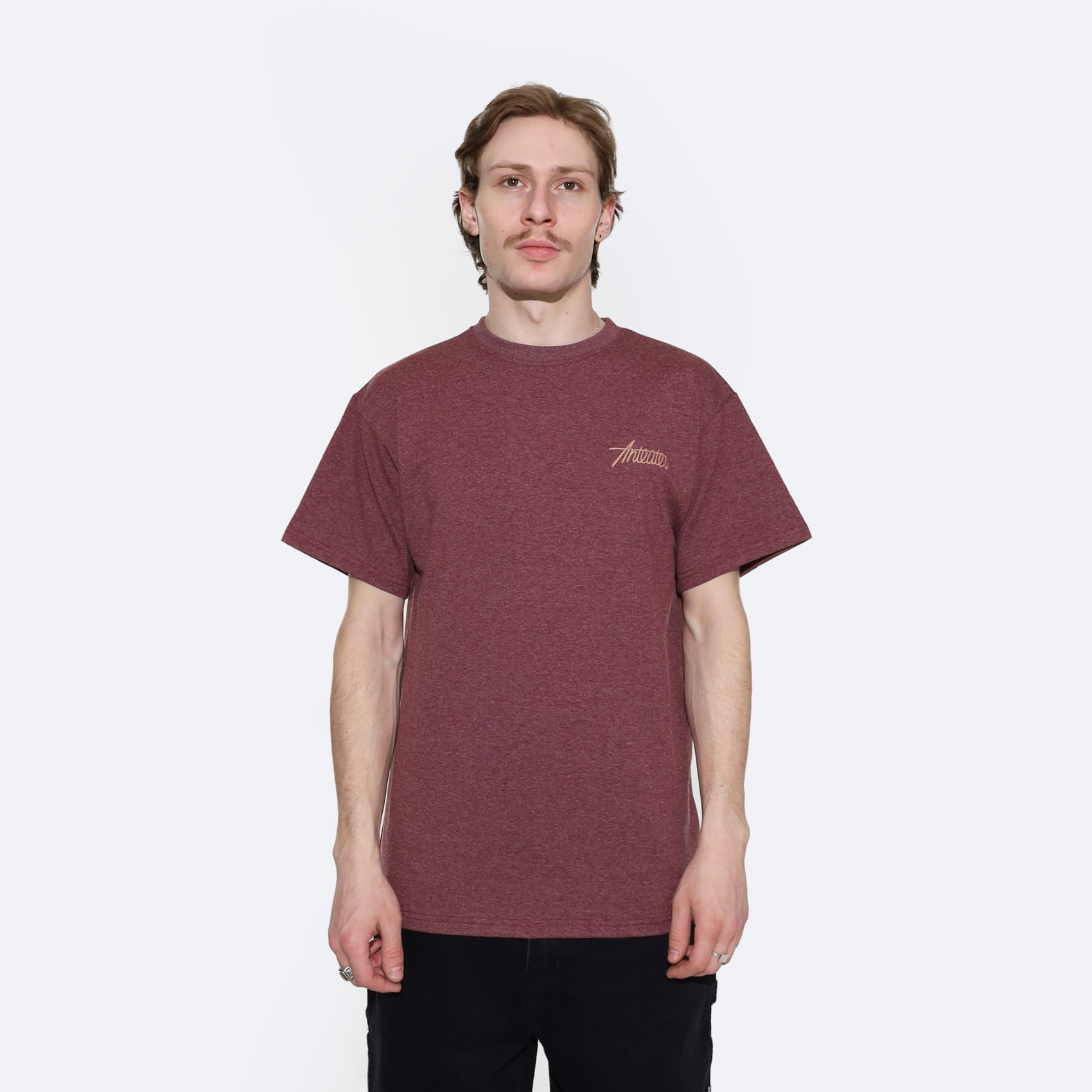 Футболка Anteater Phat Tee 355 (bordo) артикул: - купить в магазине Дайс