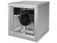 IEF 500D