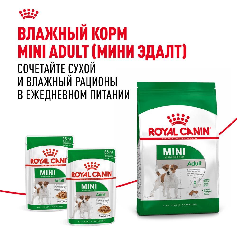 Royal Canin Mini Adult Корм сухой для взрослых собак мелких размеров от 10 месяцев - 4 кг