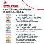 Royal Canin Golden Retriever Голден (золотой) Ретривер Эдалт Корм сухой для взрослых собак породы Голден Ретривер 3кг