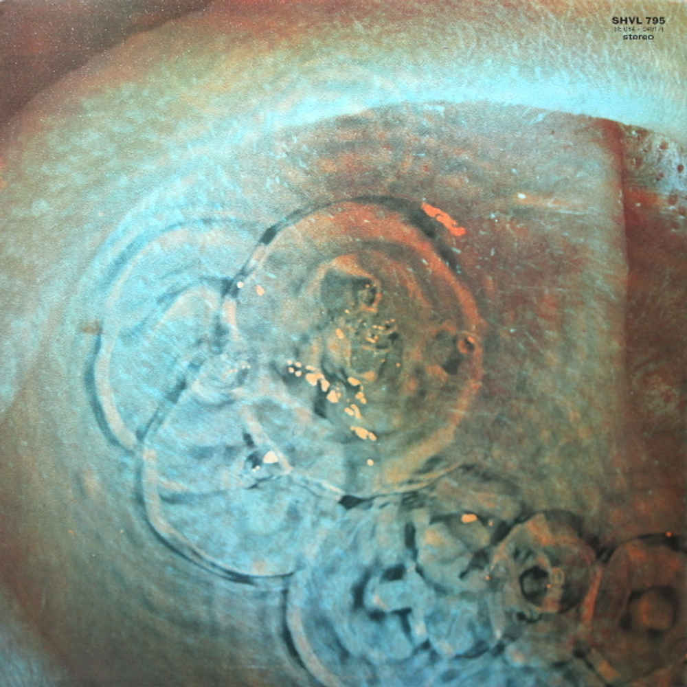 Pink Floyd / Meddle (LP)