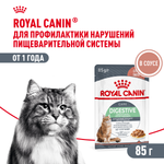 Royal Canin Digestive Care Дайджестив кэа Корм влажный профилактика нарушений пищеварительной системы для взрослых кошек соус 85г