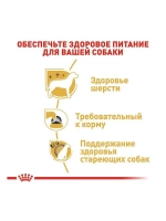ROYAL CANIN Yorkshire Terrier Adult (Роял Канин Йоркширский терьер) корм сухой для собак15 кг