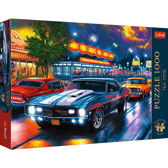 Pazl / Пазлы / Puzzles - "1000 Premium Plus" - Tea Time: Night drive