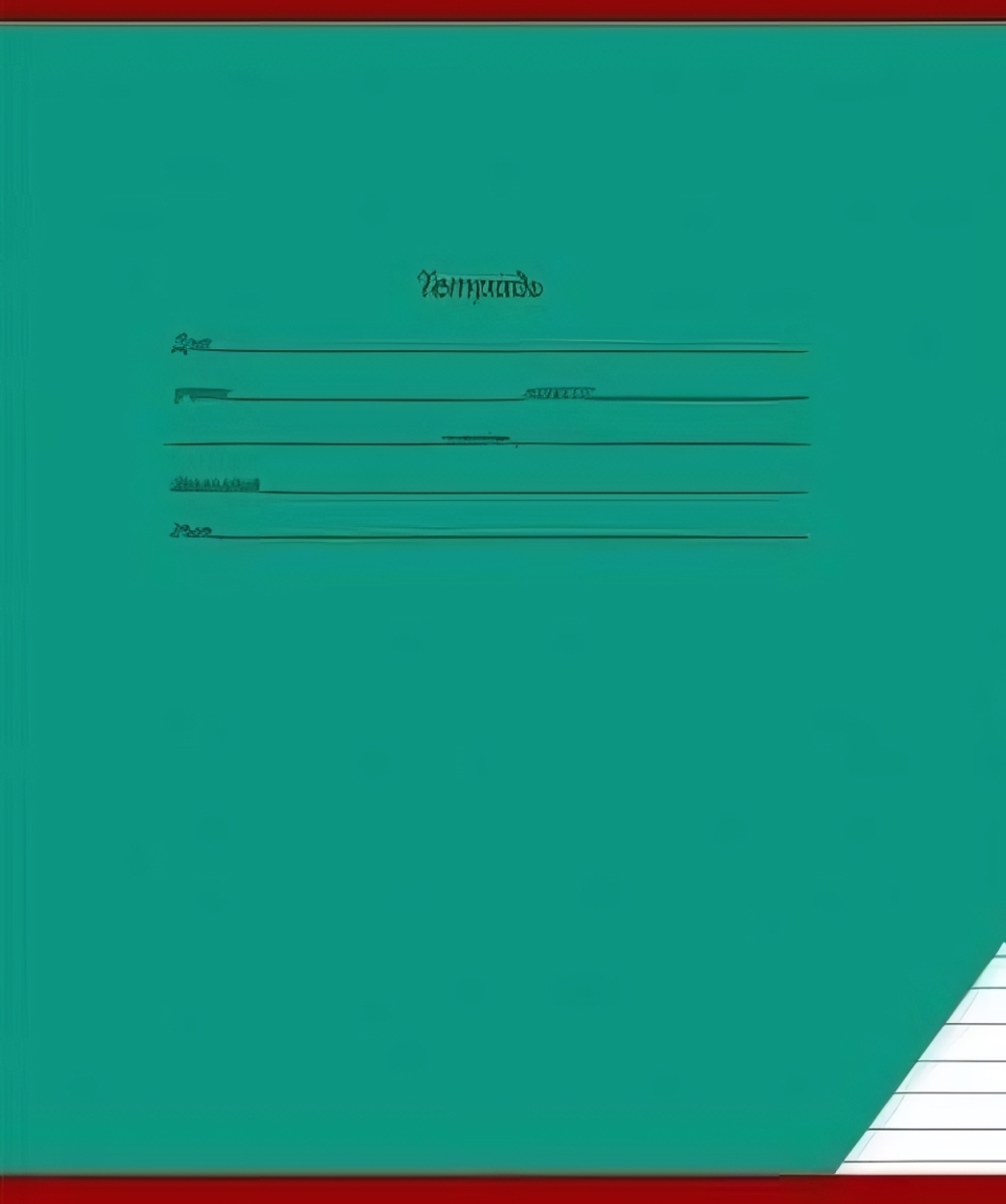 Тетрадь А5 12л. уз.лин. Школьная классика (12-9125) (Проф-Пресс) разноцветный принт (комплект 5 шт)