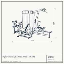 Мультистанция Fitex Pro FTX-5348 — от 715 000 ₽