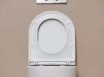 Подвесной унитаз Ceramicanova Тренд (Vogue) Торнадо безободковый CN4008TMW