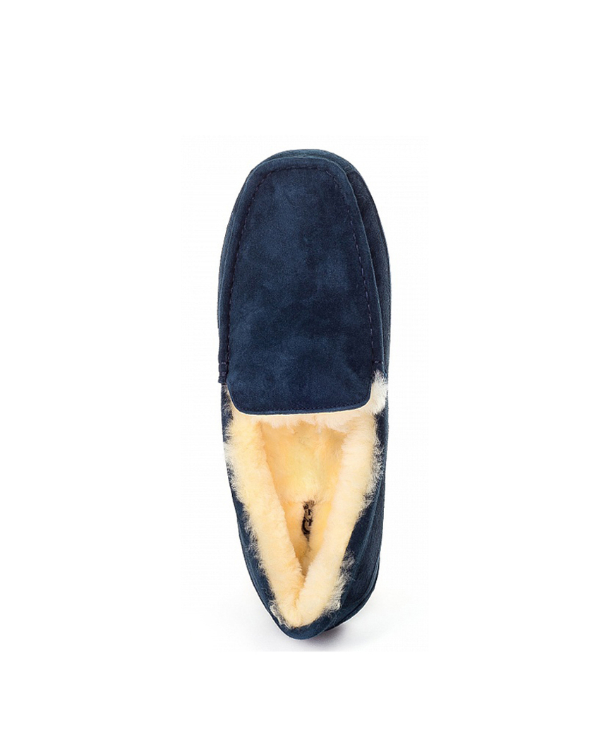 ASCOT MENS navy
