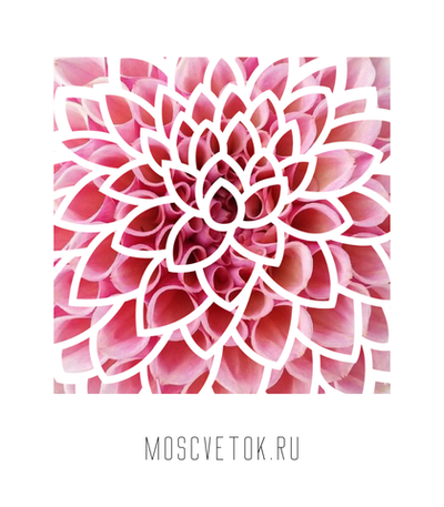 Открытка без повода № 2