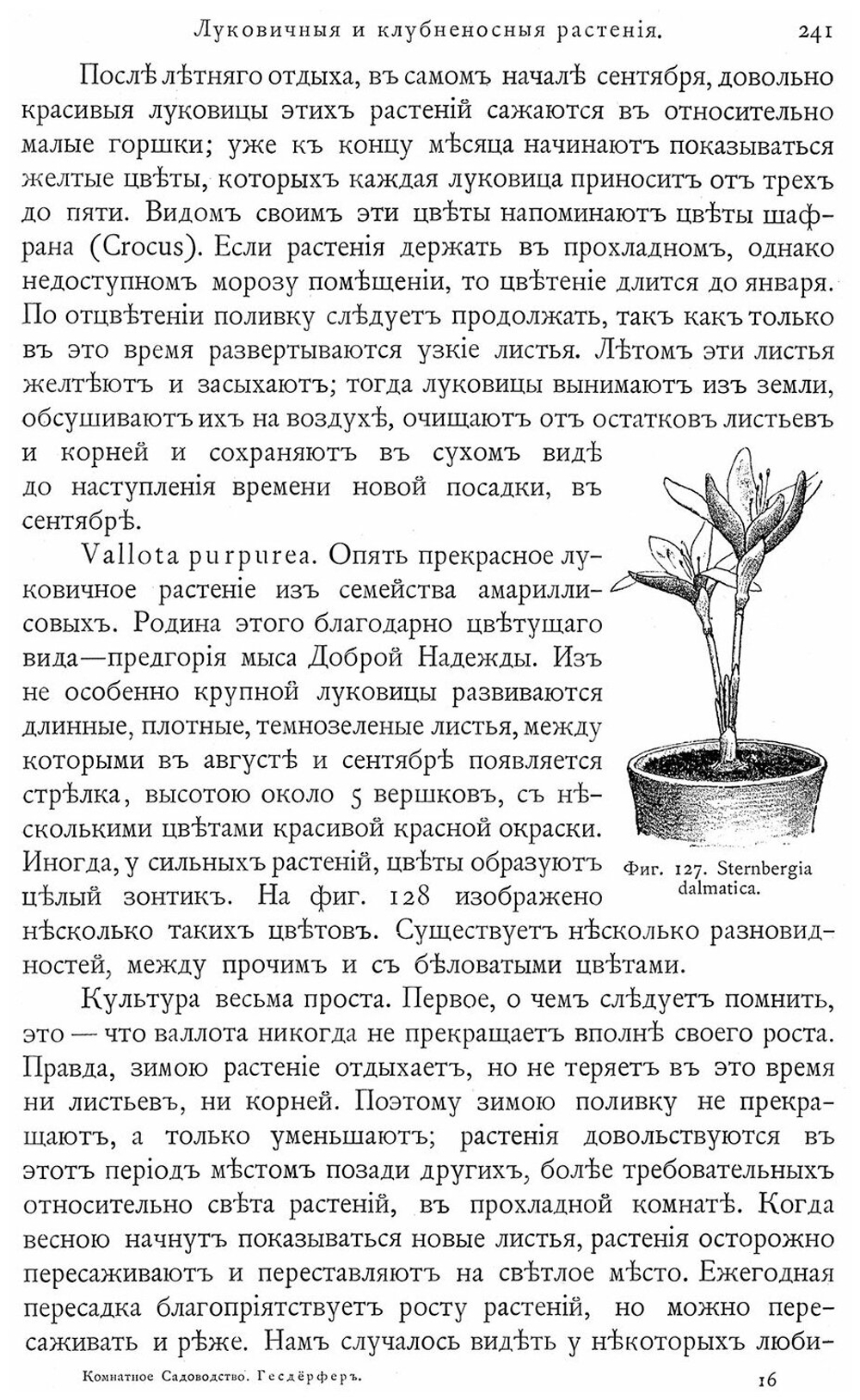 Комнатное садоводство. Гесдёрфер М.