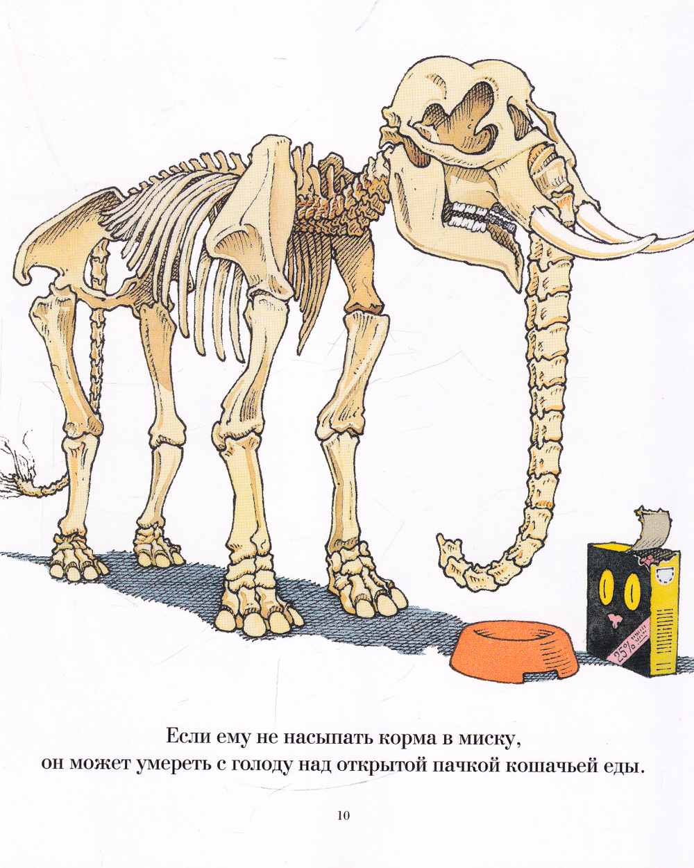 Мой кот самый глупый в мире