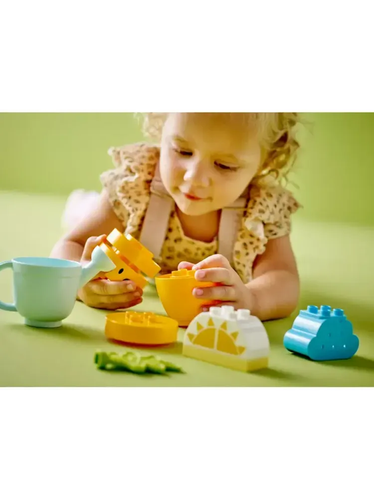 Конструктор DUPLO 10981 Выращиваем морковку
