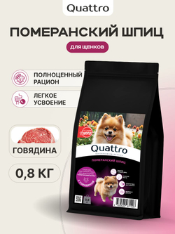 Корм сухой для щенков породы Померанский шпиц, с говядиной, 800 гр, QUATTRO