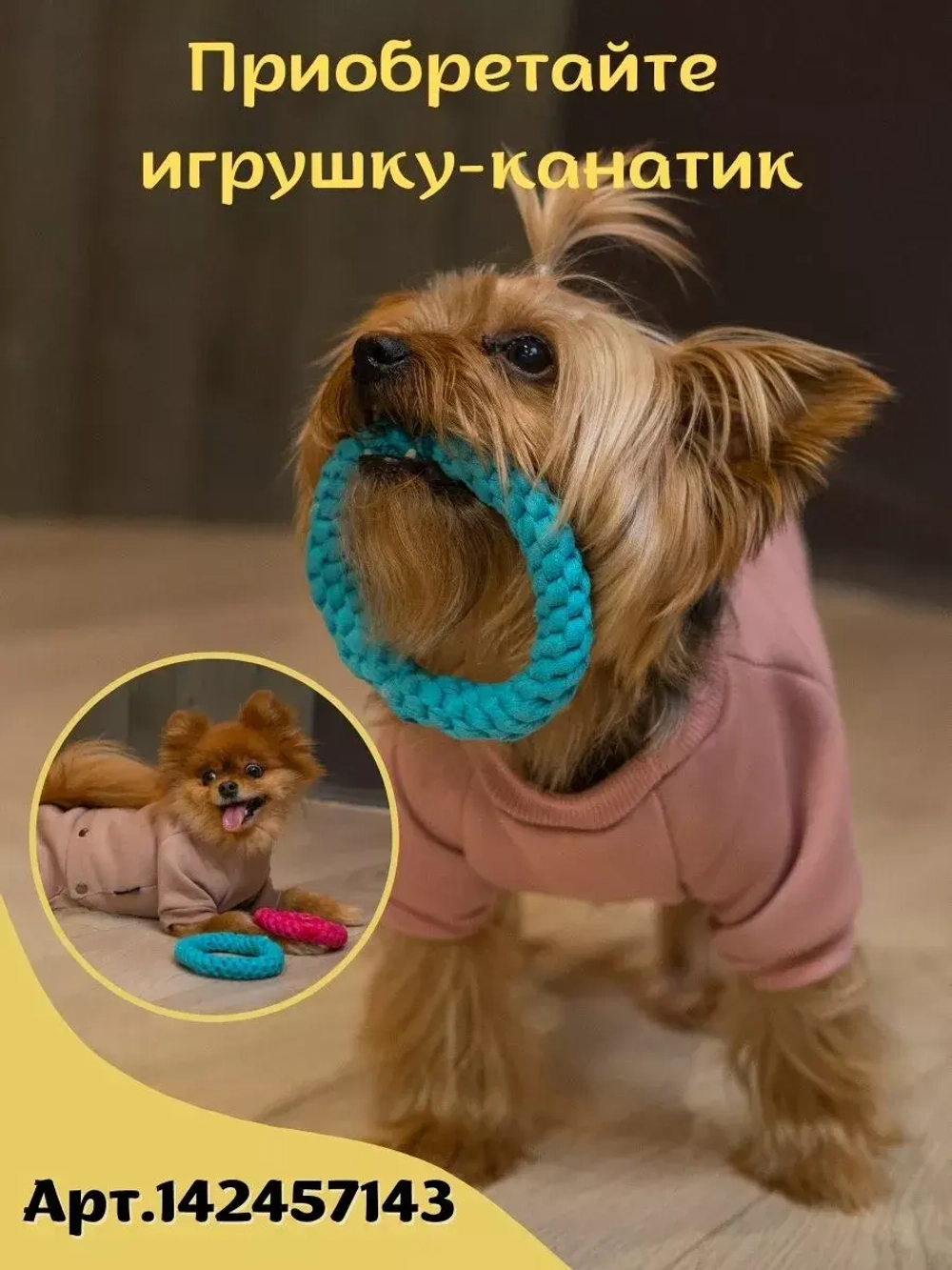 Футболка для собак мелких средних пород и кошек
