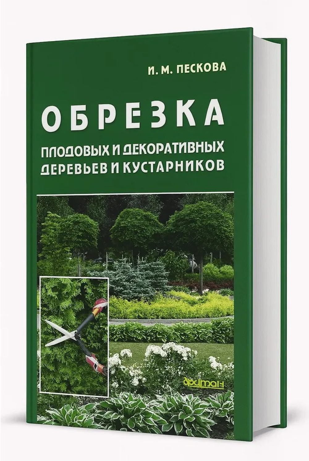 Обрезка плодовых и декоративных деревьев и кустарников