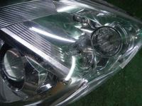 DSCN0559.JPG