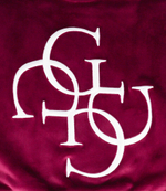 Худые Guess - бордовый(J3BQ28 KBYO0)