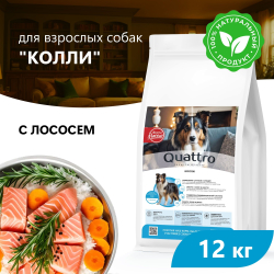 Корм сухой для взрослых собак породы Колли, премиум полнорационный комплекс, с лососем, 12 кг, QUATTRO