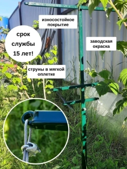 Шпалера садовая для малины и ежевики