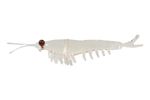 Приманка NIKKO Okiami Shrimp L 58мм #Clear Brown