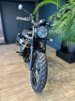 Triumph Scrambler 900, 2025
