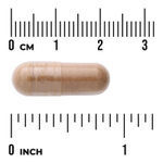 Swanson Vitamins, Мака Full Spectrum®, 500 мг, 100 веганских капсул