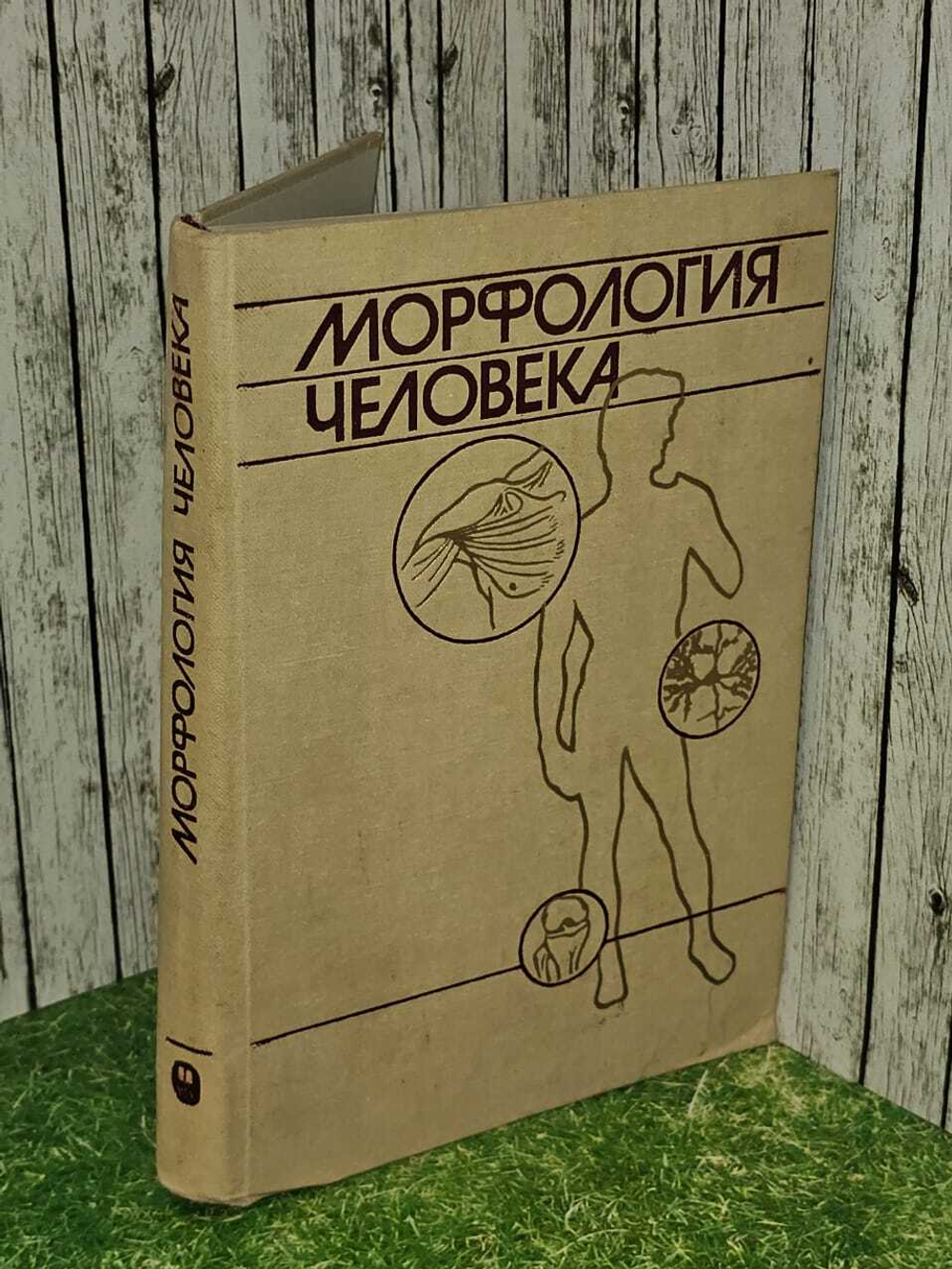 Морфология Человека. Б. А. Никитюк 1983