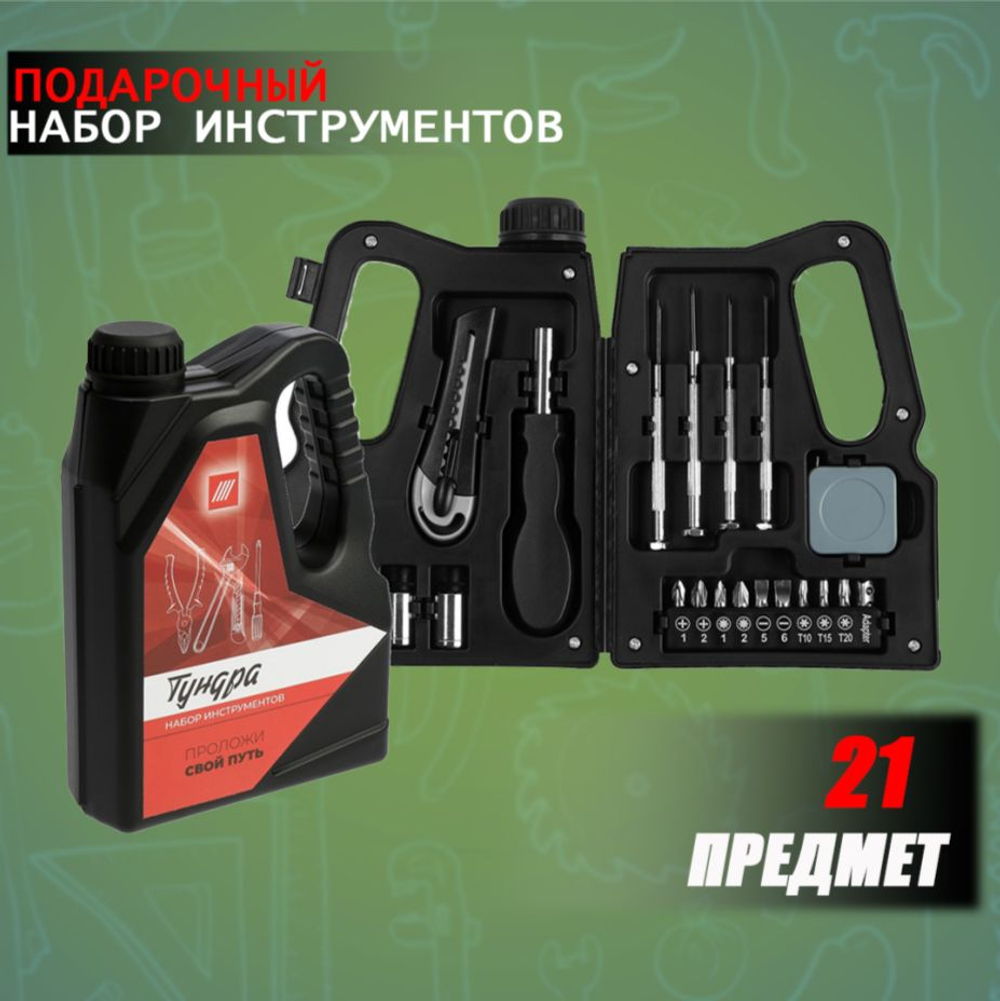 Набор инструментов ТУНДРА, подарочный пластиковый кейс "Канистра", 21 предмет