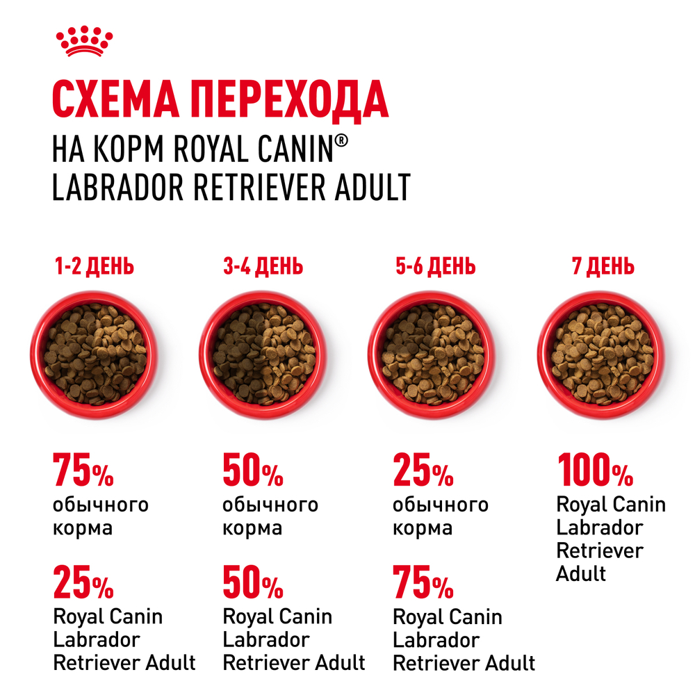 Сухой корм Royal Canin Labrador Retriever Adult для взрослых собак породы Лабрадор Ретривер от 15 месяцев 12кг