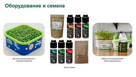 Комплексная эколого-патриотическая программа Сити-фермер 2.0, 4-7 лет