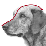 Намордник, размер М (23.5 см), пластик, Trixie