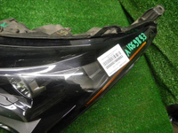 DSCN8675.JPG