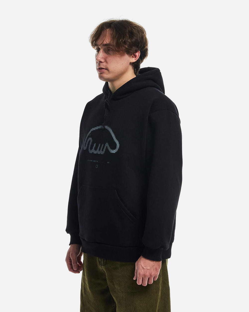 Толстовка Anteater Hoodie Black Logo