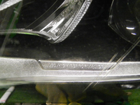 DSCN6950.JPG