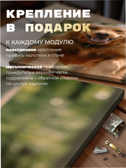 Картина Радость леса модульная 50x70см 3шт., на деревянном подрамнике