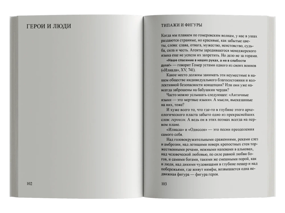 Лето с Гомером