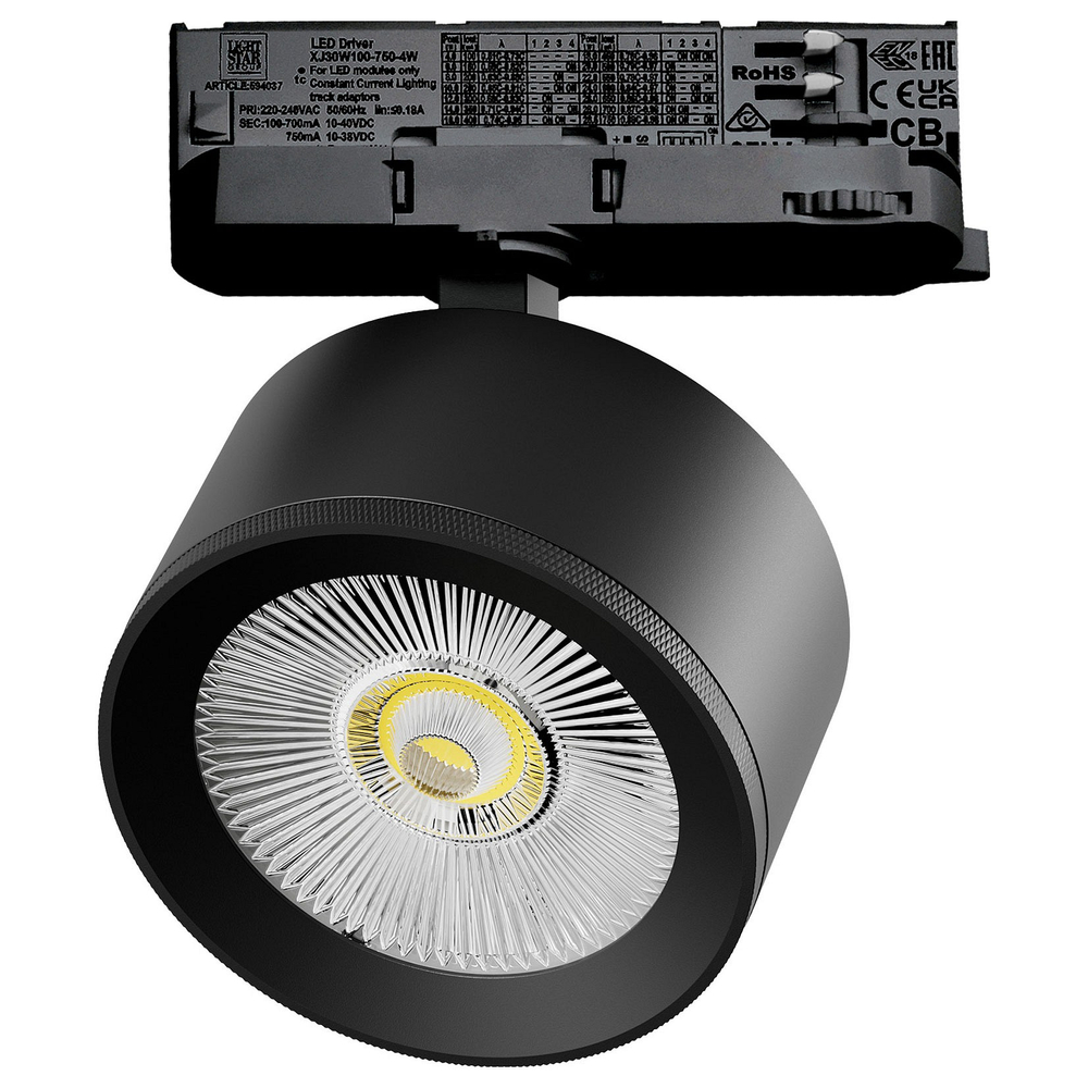 Светильник на штанге Lightstar Alta Pro A5547QT