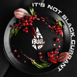 BlackBurn 100гр. Its Not Black Currant (М)