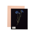 Paper Flowers Cards and Envelopes: The Art of Mary Delany
