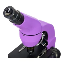 Микроскоп Levenhuk Rainbow 50L Amethyst\Аметист - окуляр и револьверная головка, вид сверху