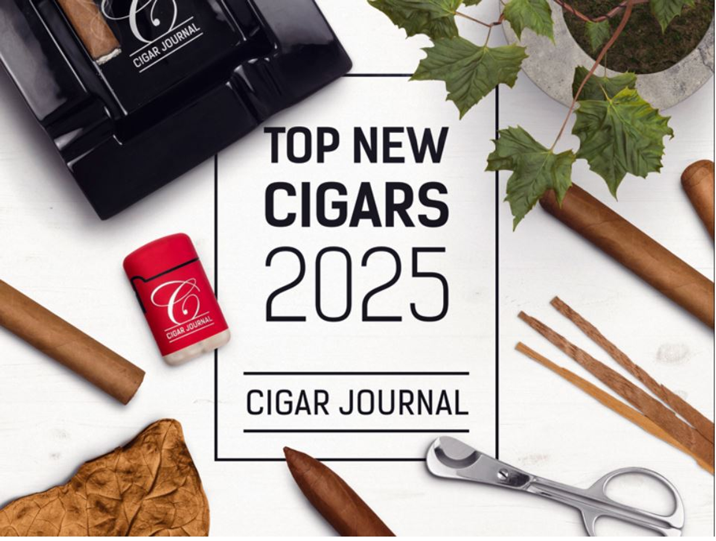 Top 25 New Cigars of 2025