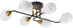Потолочная люстра Andrea A8141PL-6BK Arte Lamp