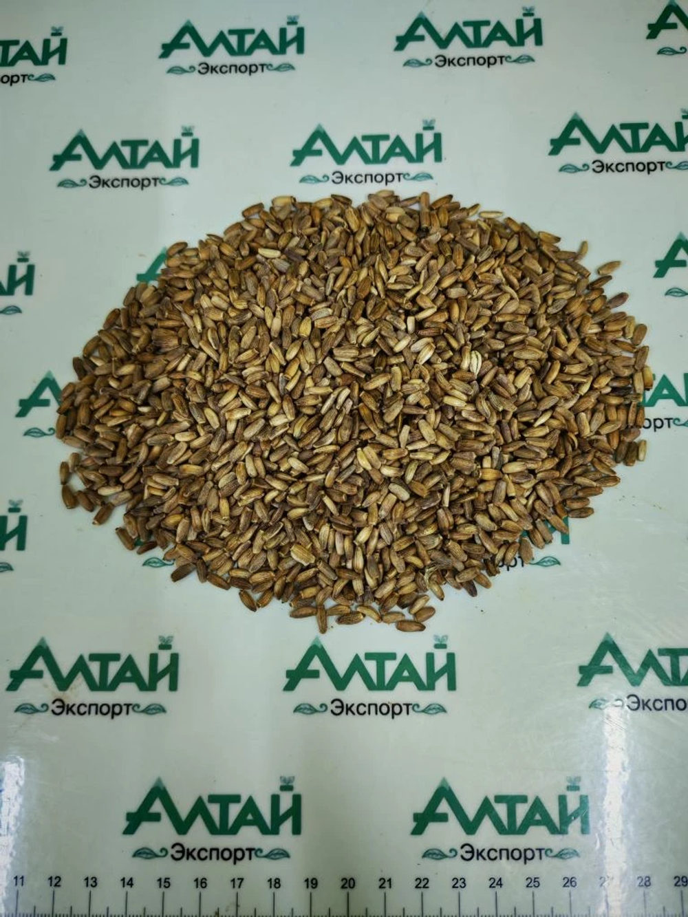 Расторопша пятнистая семя Алтай