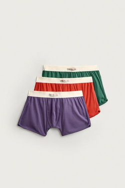 ZARA - FRUIT OF THE LOOM™ НАБОР ИЗ ТРЕХ ТРУСОВ-БОКСЕРОВ, РАЗНОЦВЕТНЫЙ