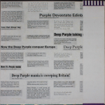 Deep Purple / Who Do We Think We Are (LP)