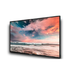 Профессиональный дисплей GoodView M55SAH