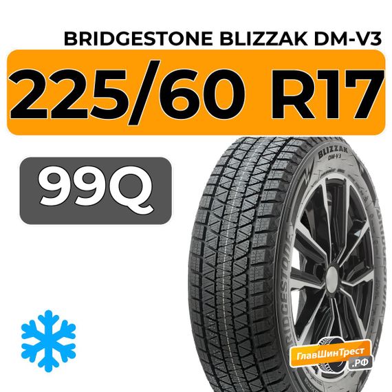 Bridgestone Blizzak DM-V3 225/60 R17 99Q