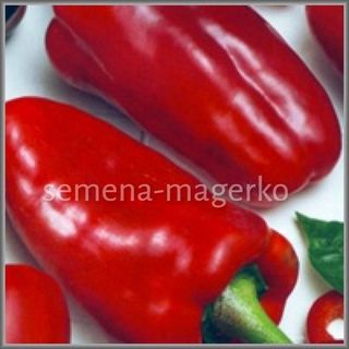 Перец сладкий Кореновский 50 грамм