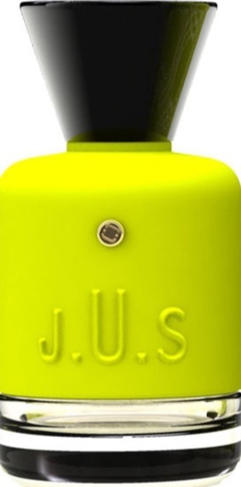 J.U.S Gingerlise Parfum 100 ml